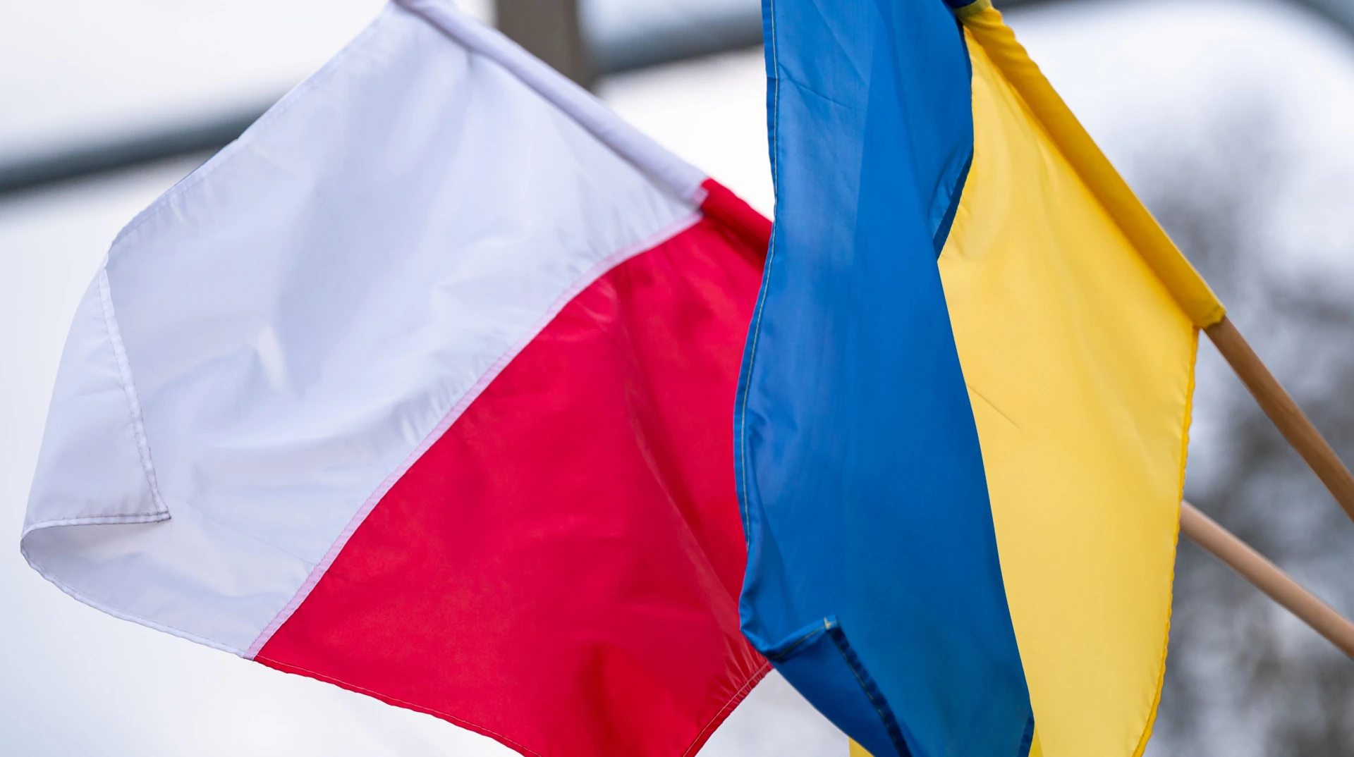 Львів: із 25 серпня шукають останки польських вояків 1939 року — деталі досліджень